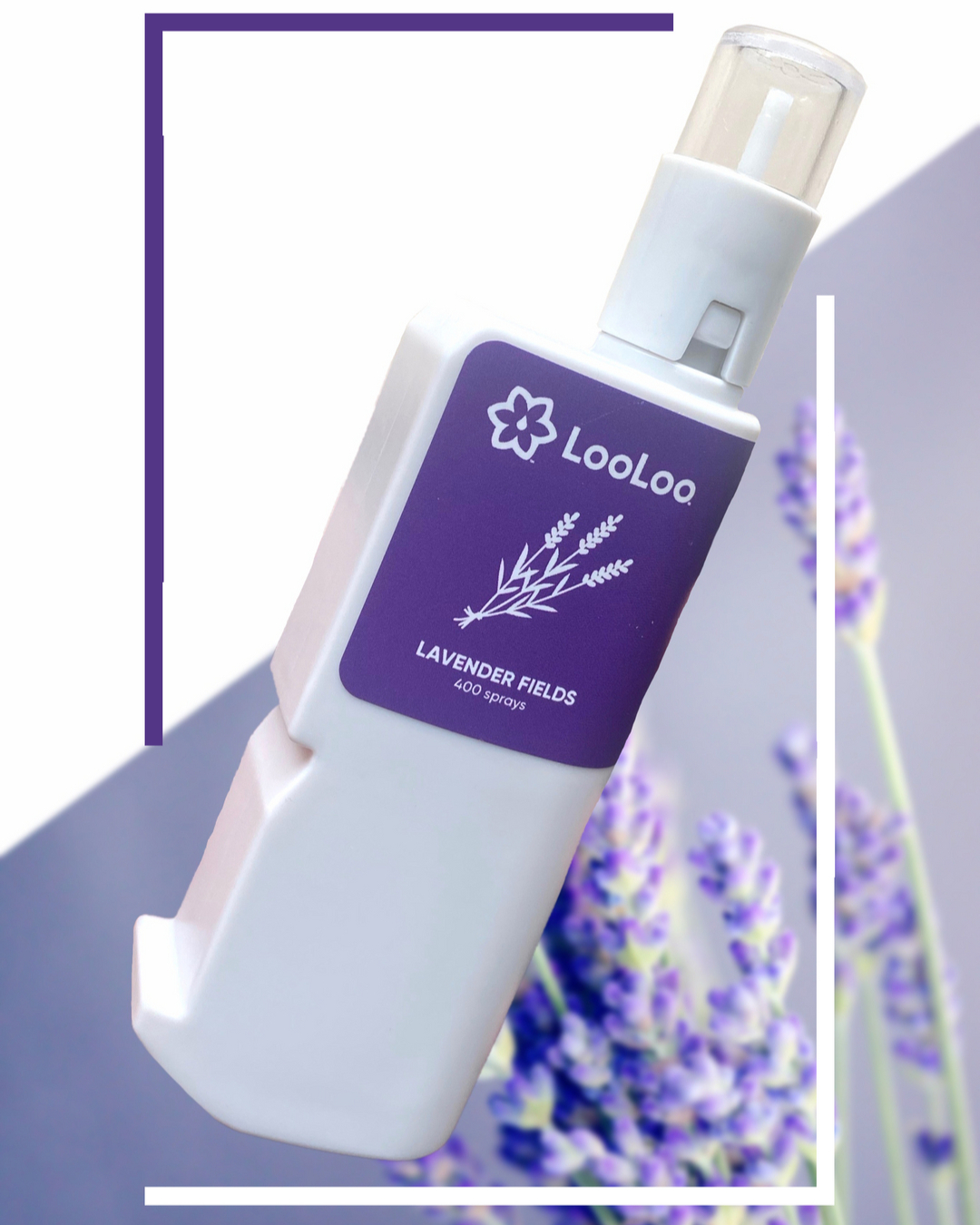 LooLoo Lavender Field