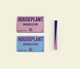 Houseplant Stick Lighter Gift Set